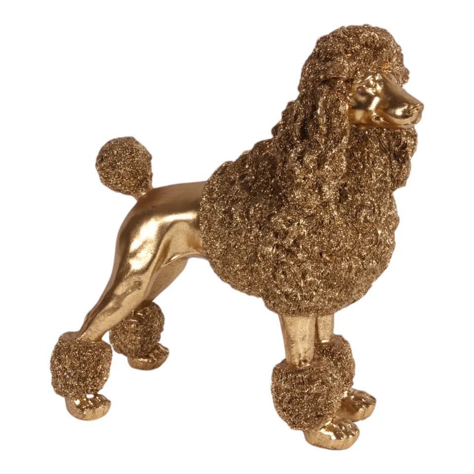 Hond King Poedel Beeld